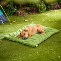 Frisco Travel Pillow Dog Bed with Reusable Storage Bag, Green, X-Large