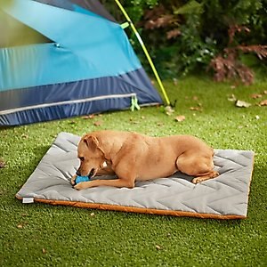 Frisco Travel Pillow Dog Bed with Reusable Storage Bag, Orange, X-Large