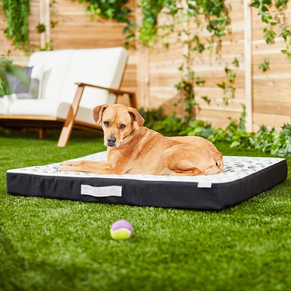 Frisco Indoor/Outdoor Arrow Print Pillow Dog Bed w/Removable Cover, X-Large slide 1 of 5