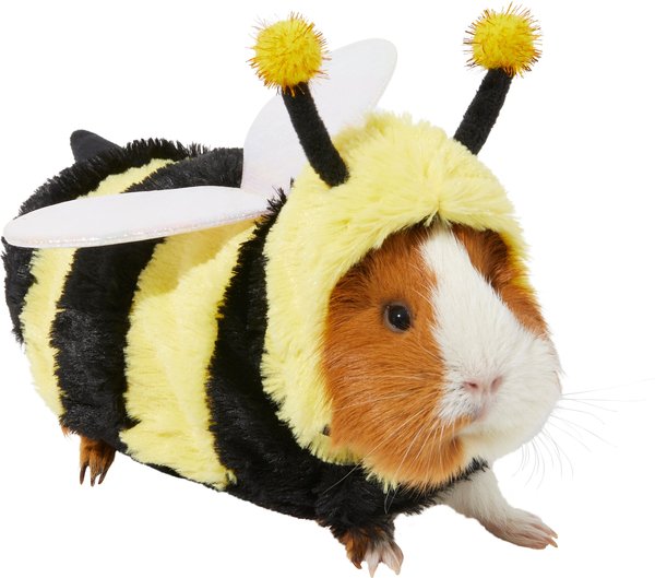 Frisco Bumble Guinea Pig Costume, One Size, Multi Color slide 1 of 7