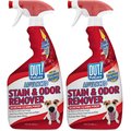 CARBONA Oxy Powered Dog & Cat Stain & Odor Remover, 22-oz bottle