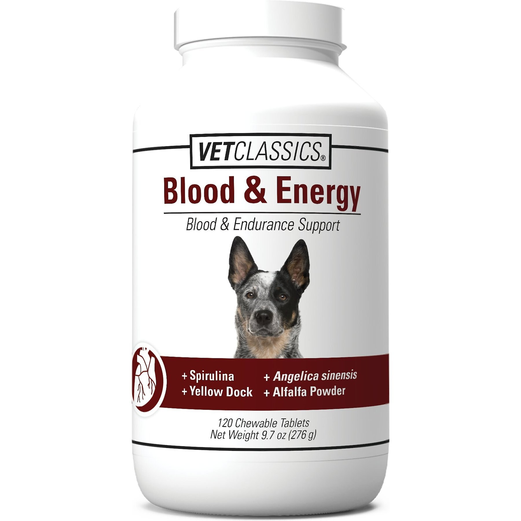 High-Energy Dog Products  Essential Items for High Energy Dogs