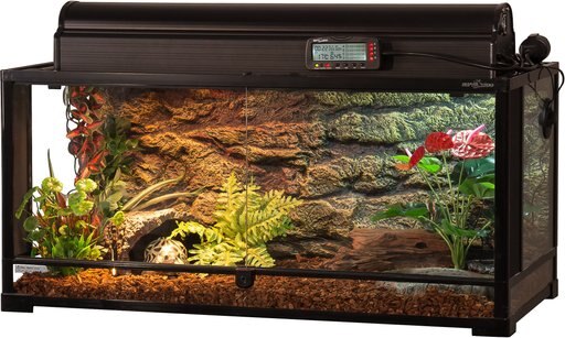 TRIXIE Glass Reptile Terrarium, 50-gal
