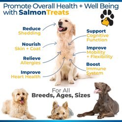 Plano Paws Salmon Treats Advanced Skin & Coat Natural Salmon Flavor Soft Chews Dog Supplement, 120 count slide 2 of 6