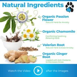 Plano Paws Calm Treats Advanced Calming Natural Chicken Flavor Chews Dog Supplement, 120 count slide 2 of 6