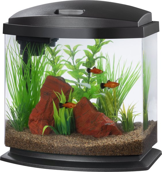 Aqueon LED MiniBow SmartClean Fish Aquarium Kit, Black, 2.5-gal slide 1 of 10
