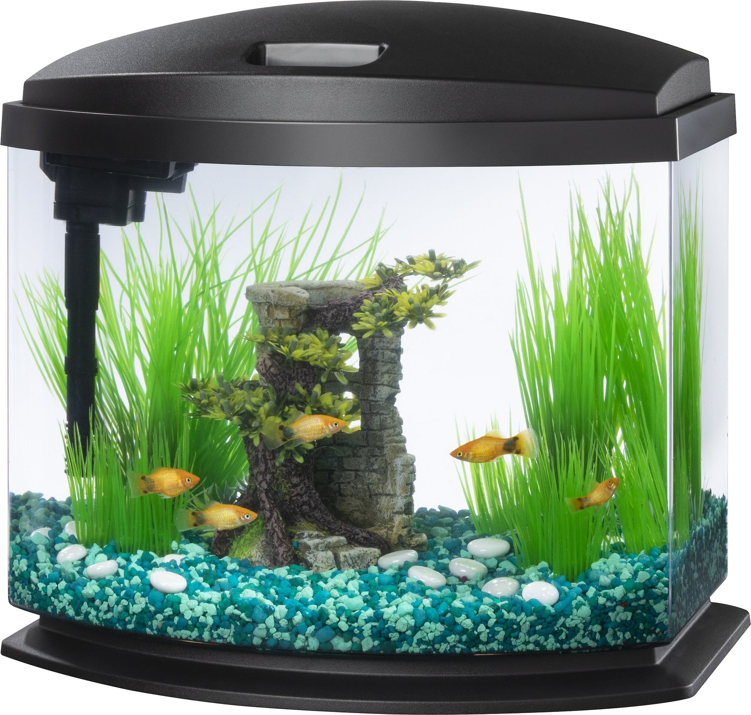 Riet kleding Industrieel AQUEON LED MiniBow SmartClean Fish Aquarium Kit, Black, 5-gal - Chewy.com