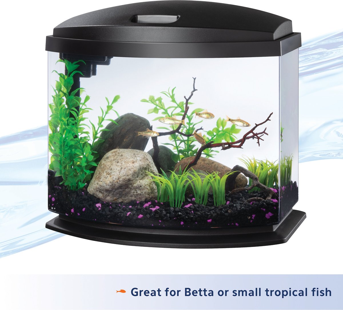 AQUEON LED MiniBow SmartClean Fish Aquarium Kit, Black, 5-gal 