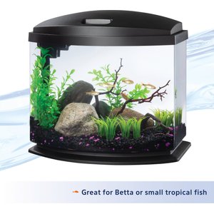 Aqueon LED MiniBow SmartClean Fish Aquarium Kit, Black, 5-gal