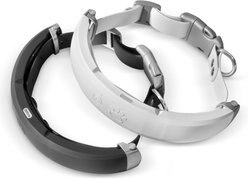 Halo Collar Smart Dog Collar with Virtual Fence, GPS, Activity Tracking & Training, Graphite, Small slide 2 of 7