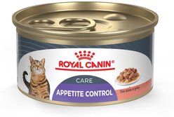 Royal Canin Feline Care Nutrition Appetite Control Care Thin Slices in Gravy Canned Cat Food, 3-oz, case of 24