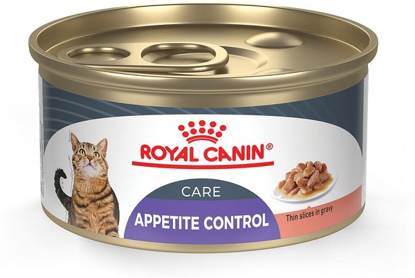 Royal Canin Feline Care Nutrition Appetite Control Care Thin Slices in Gravy Canned Cat Food, 3-oz, case of 24 slide 1 of 6