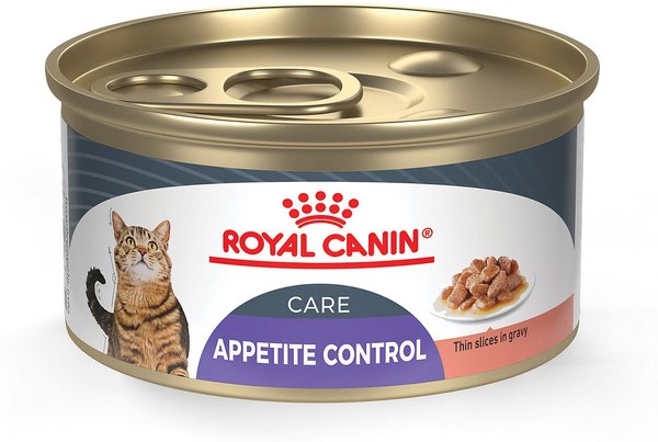 ROYAL CANIN Feline Care Nutrition Appetite Control Care Thin Slices in ...