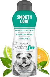 TropiClean Perfect Fur Smooth Coat Dog Shampoo, 16-oz bottle