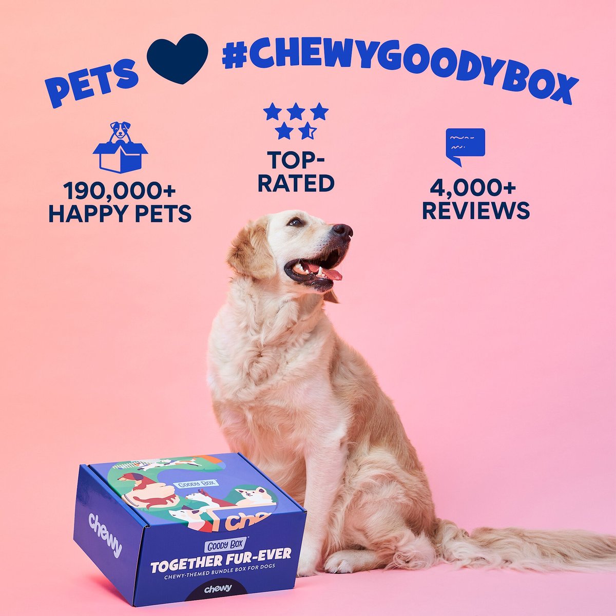 Chewy dog gift box sale