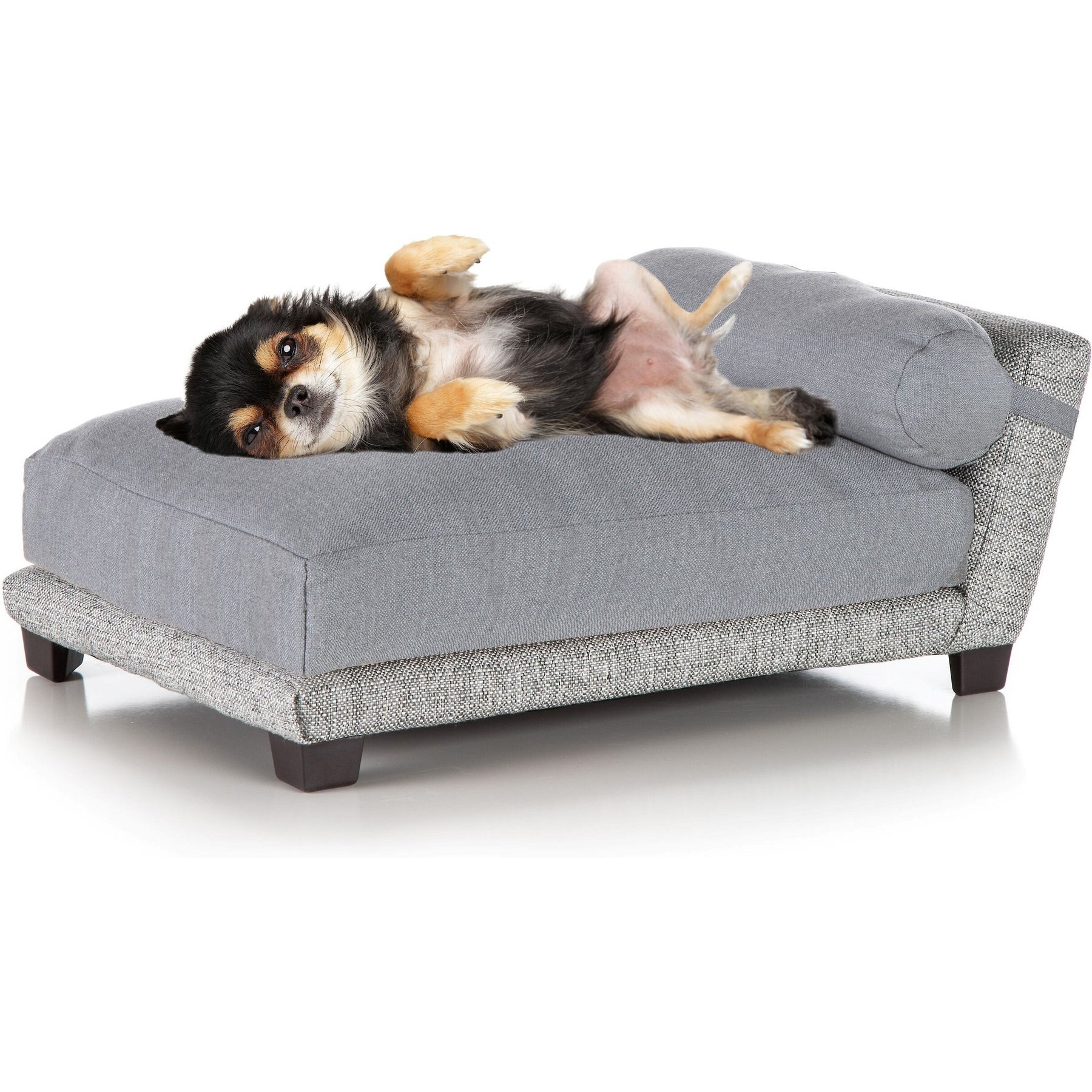 Club Nine Pets Bada Orthopedic Elevated Cat & Dog Bed