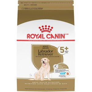 Royal canin store breed labrador retriever