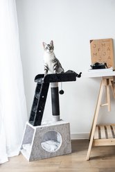 Catry 31-in Paper Rope & Fleece Covered Tower Ladder Cat Tree, Grey & White