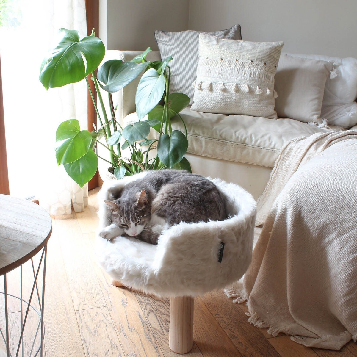 District 70 Nordic Elevated Cat Bed