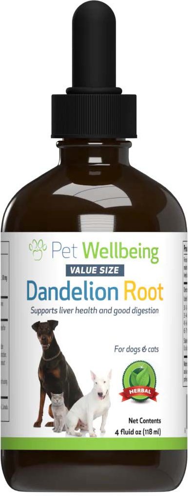 is dandelion root safe for dogs