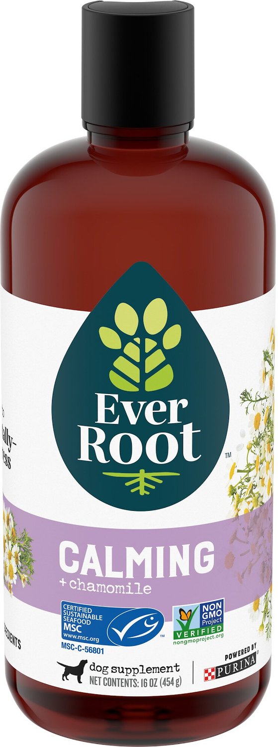 10 Best Liquid Calming Supplements for Dogs 2023 According to Reviews