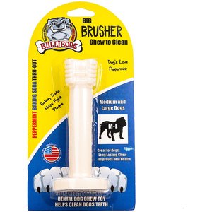 Arm & Hammer Super Treadz Gator Chew Toy - Chaar