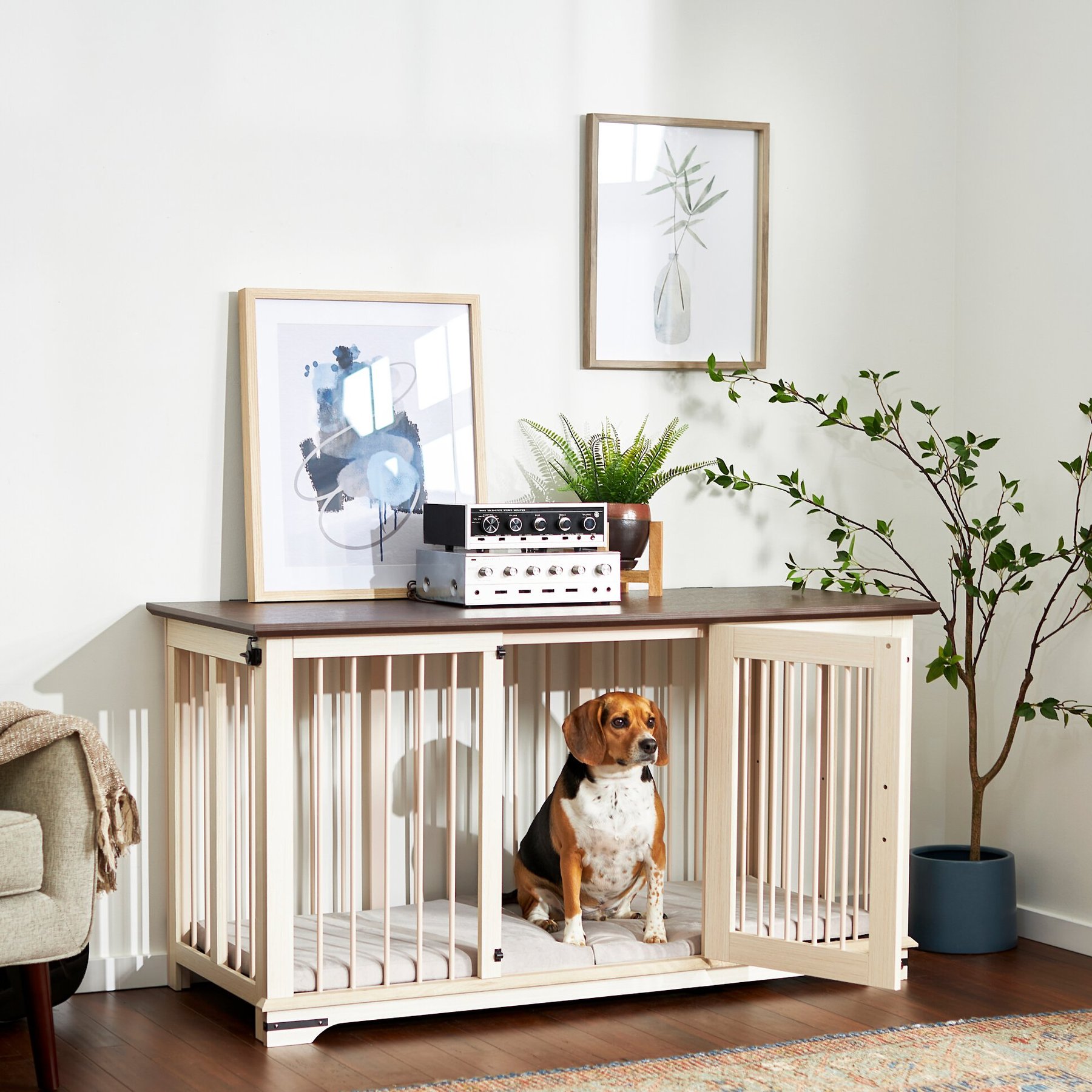 FRISCO Broadway Dog Crate Credenza & Mat Kit, White, 53 x 24.3 x 27.2  inches - Chewy.com