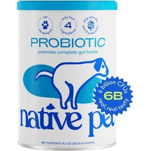 Native Pet Probiotic for Dogs| Vet-Created Probiotic Powder for Dogs w/ Digestive Issues 8.2-oz can