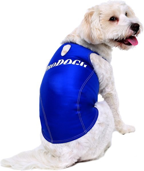 PRODOGG Anxiety Vest for Dogs, Royal Blue, XSmall