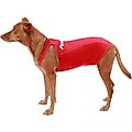 ProDogg Anxiety Vest for Dogs, Red, X-Large