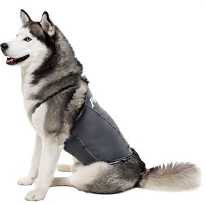 PRODOGG Anxiety Vest for Dogs, Grey, 4X-Large - Chewy.com