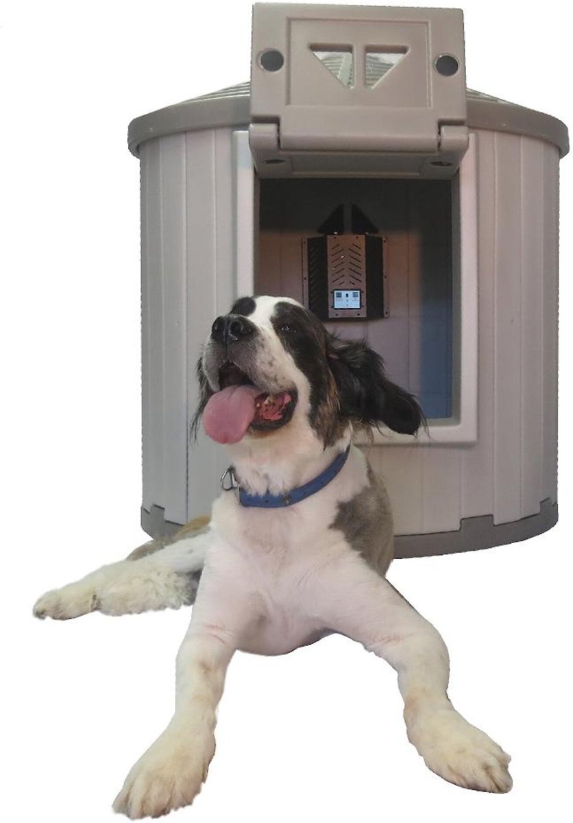 Crb dog palace best sale