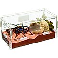 Zilla Micro Habitat Terrariums with Locking Latch Terrestrial, Small