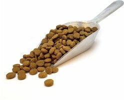 Intrepid Chicken & Brown Rice Dry Dog Food, 3.5-lb bag slide 2 of 6