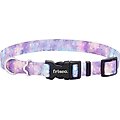 Frisco Spring Rainbow Dog Collar, MD - Neck: 14 – 20-in, W: 3/4-in