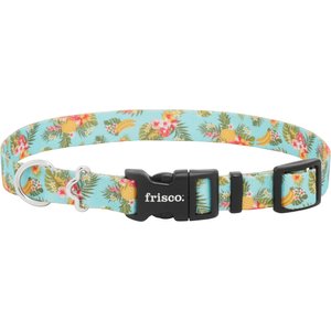 Frisco Tropics Dog Collar, LG - Neck: 18 – 26-in, Width: 1-in