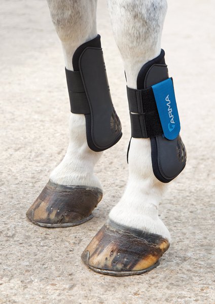 Shires Equestrian Products ARMA Tendon Horse Boots, Royal, Cob slide 1 of 1
