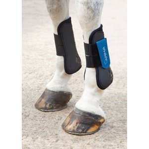 Shires Equestrian Products ARMA Tendon Horse Boots, Royal, Full