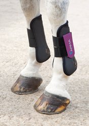 Shires Equestrian Products ARMA Tendon Horse Boots, Plum, Full