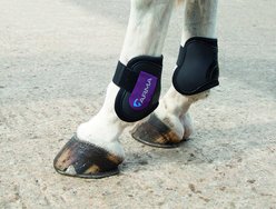 Shires Equestrian Products ARMA Fetlock Horse Boots, Plum, Pony/Cob