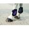 Show in main carousel: Shires Equestrian Products ARMA Fetlock Horse Boots, Plum, Pony/Cob slide 1 of 2