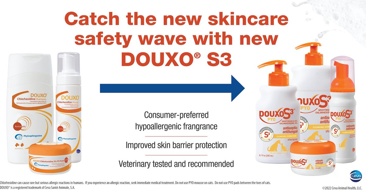 Douxo chlorhexidine 3 on sale ps pads for dogs