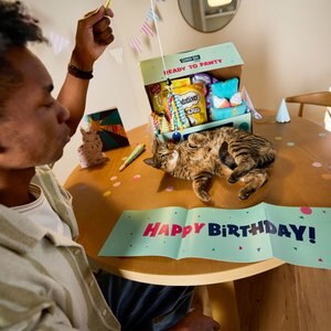 Goody Box Birthday Cat Toys, Treats & Collar