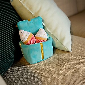 Goody Box Birthday Cat Toys, Treats & Collar