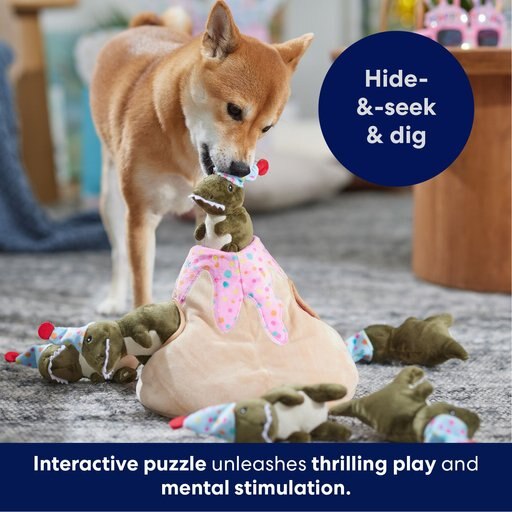 Frisco Birthday Volcano & Dinosaurs Hide & Seek Puzzle Plush Squeaky Dog Toy, Small/Medium