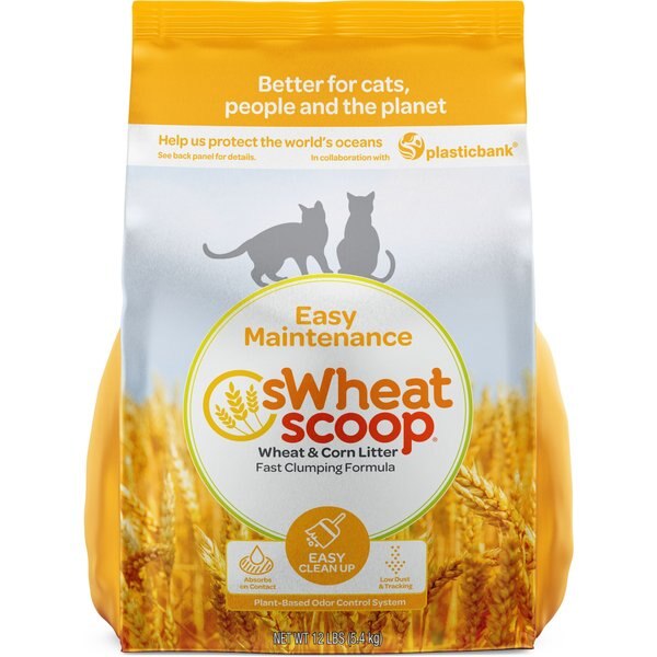 SWHEAT SCOOP MultiCat Unscented Natural Clumping Wheat Cat Litter, 12lb bag