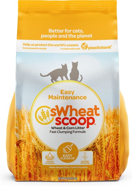 sWheat Scoop Easy Maintenance Clumping Wheat-Corn Cat Litter, 36-lb bag slide 1 of 9