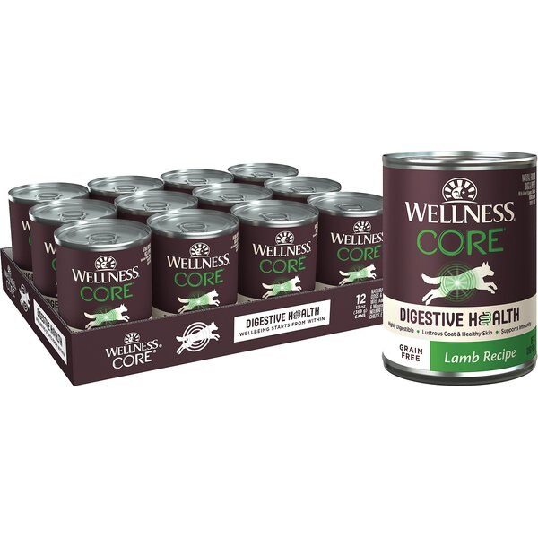 WELLNESS CORE Digestive Health Beef Recipe GrainFree Wet Dog Food, 13