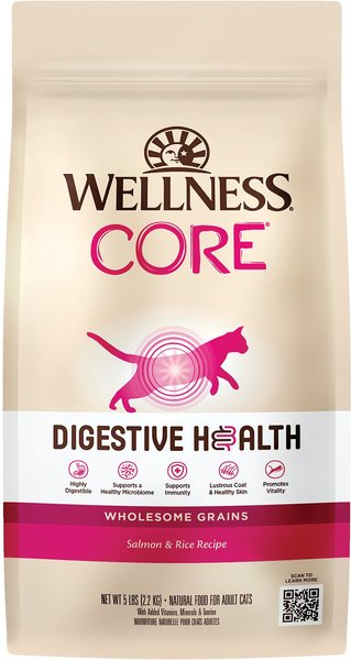 Wellness CORE Digestive Health Wholesome Grains Salmon & Rice Recipe Dry Cat Food, 5-lb bag slide 1 of 10