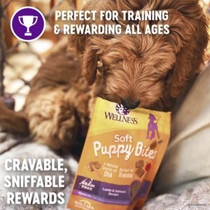 Best treats for small puppies hotsell